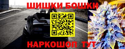 крисы Ставрополь