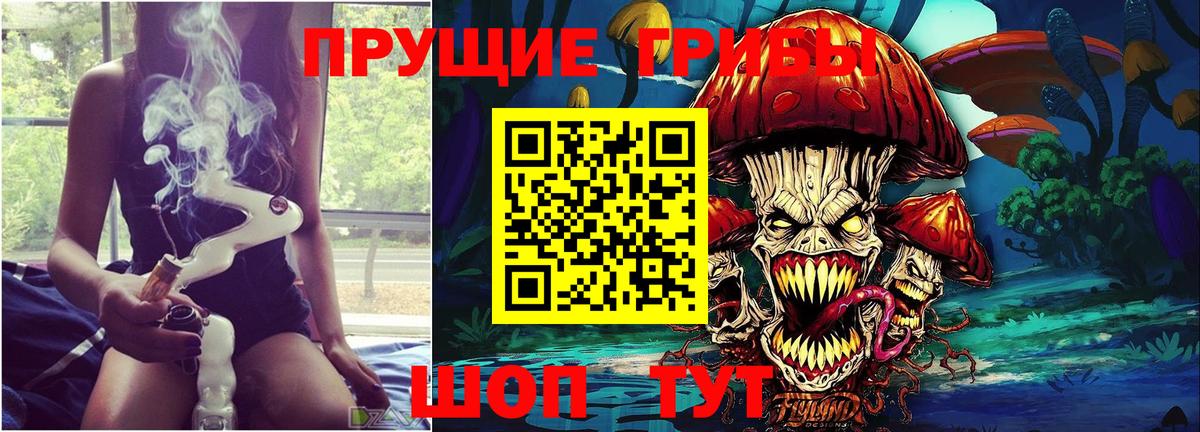 Сафоново  Псилоцибиновые грибы прущие грибы  Вход с VPN 